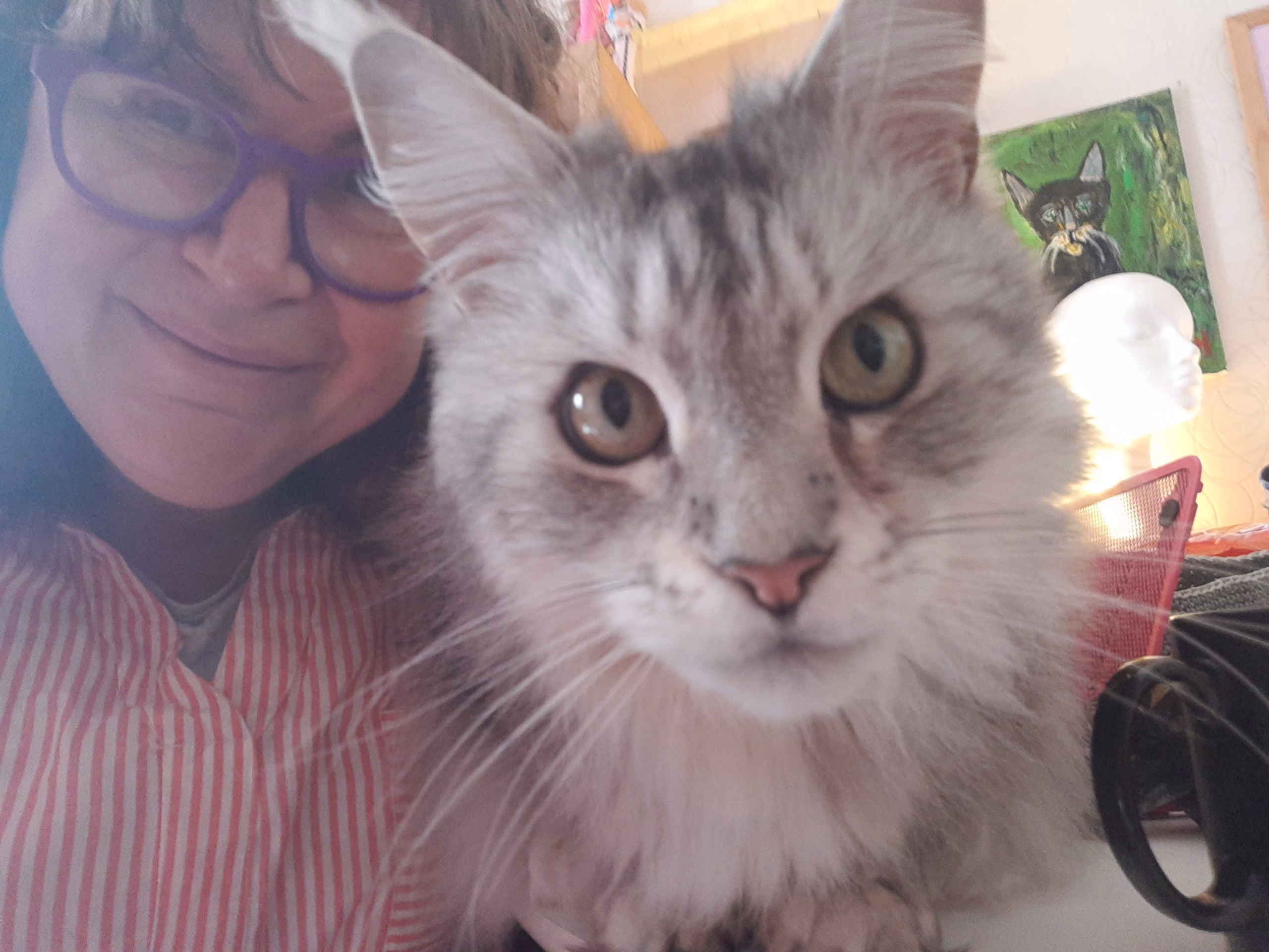 2023-05-09 12.35.44 A person wearing glasses and a striped shirt smiles next to a long-haired gray cat. There is cat-themed artwork visible in the background.